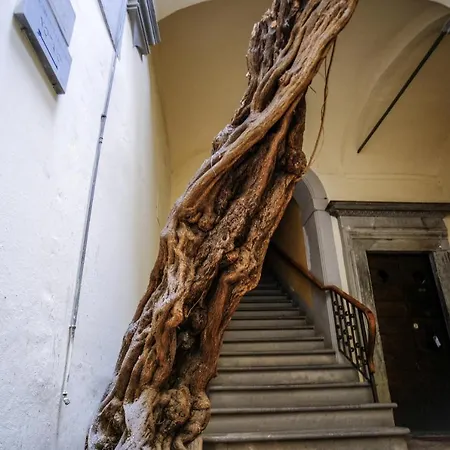 Fiorenza Boutique Appartement *